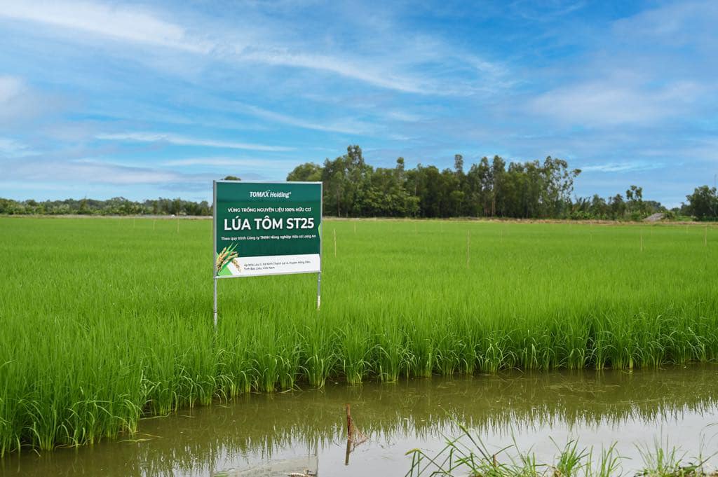 Bữa ăn gia đình Việt và xu hướng “xanh hóa” cùng gạo ST25 lúa tôm